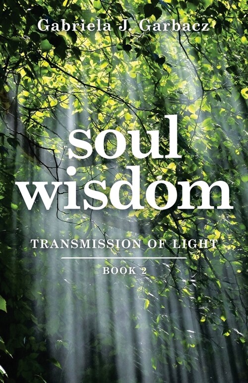 Soul Wisdom: Transmission of Light (Paperback)