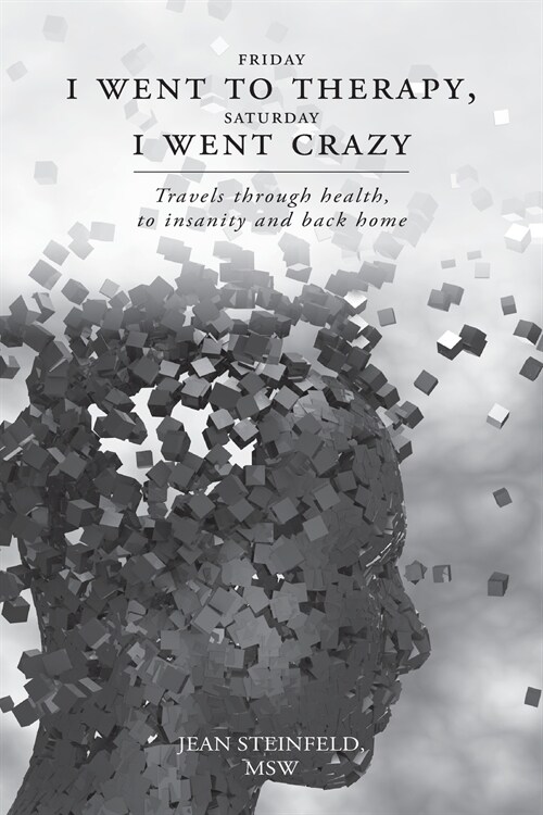Friday I went to therapy, Saturday I went crazy: Travels through health, to insanity and back home (Paperback)