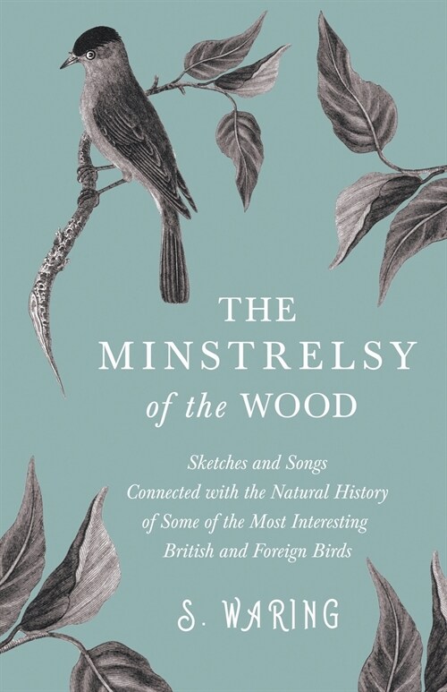 The Minstrelsy of the Wood - Sketches and Songs Connected with the Natural History of Some of the Most Interesting British and Foreign Birds (Paperback)