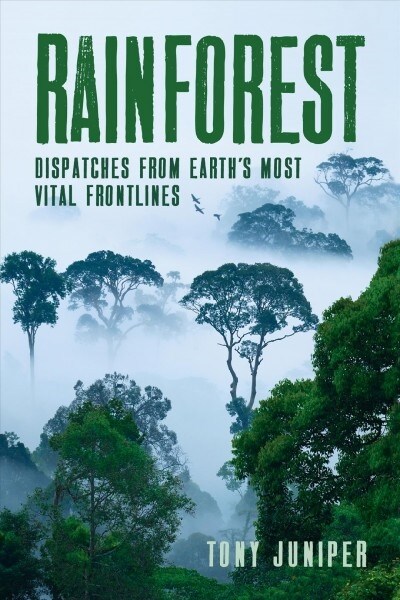 Rainforest: Dispatches from Earths Most Vital Frontlines (Paperback)