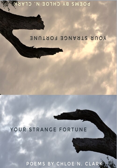 Your Strange Fortune (Paperback)