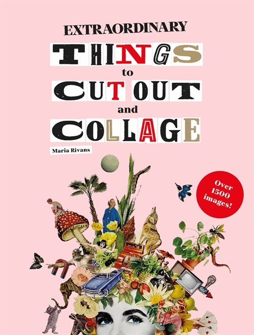 Extraordinary Things to Cut Out and Collage (Paperback)
