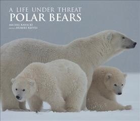 Polar Bears : A Life Under Threat (Hardcover)