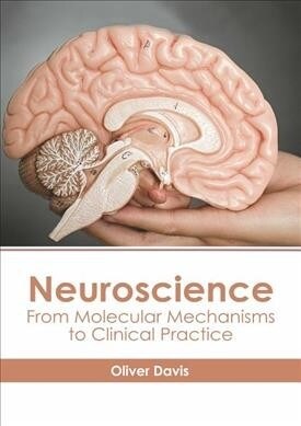 Neuroscience: From Molecular Mechanisms to Clinical Practice (Hardcover)