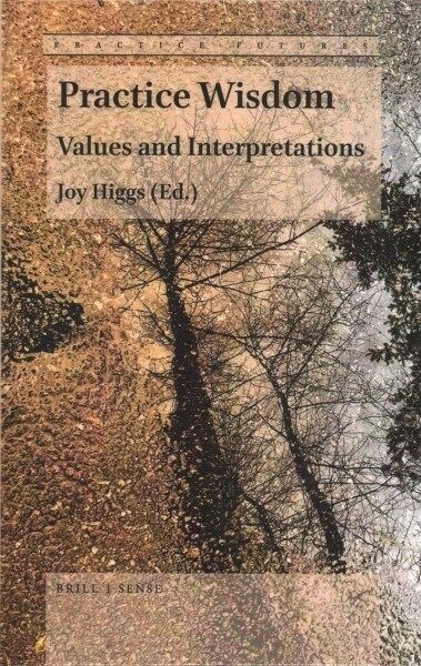 Practice Wisdom: Values and Interpretations (Hardcover)