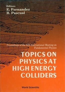 Topics on Physics at High Energy Colliders - Proceedings of the XIX International Meeting on Fundamental Physics (Hardcover)