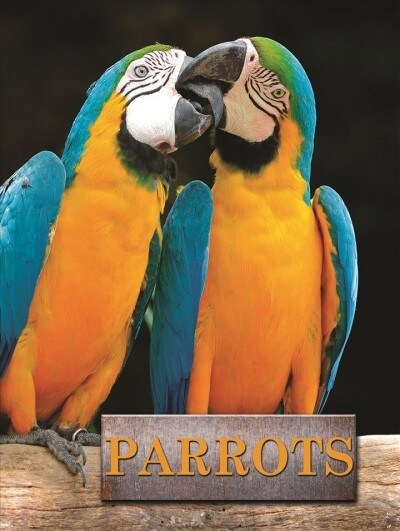 Parrots (Hardcover)