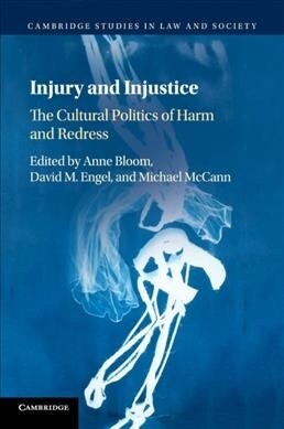 Injury and Injustice : The Cultural Politics of Harm and Redress (Paperback)