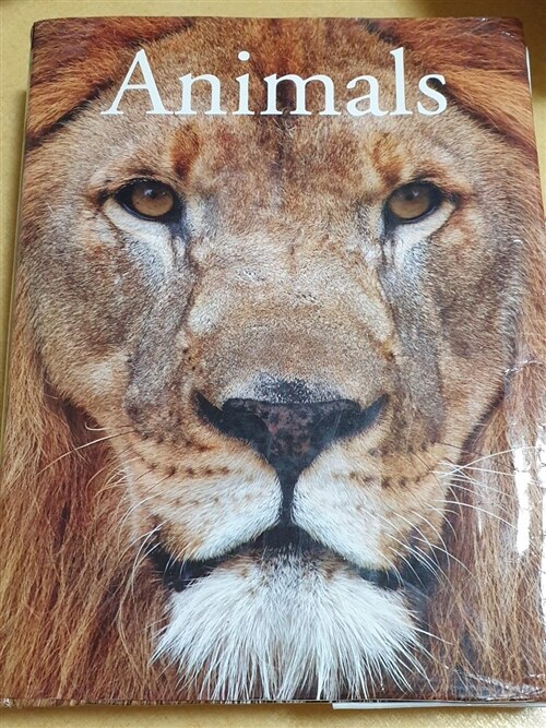 [중고] Animals (Paperback)