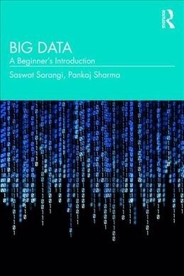 Big Data : A Beginners Introduction (Paperback)