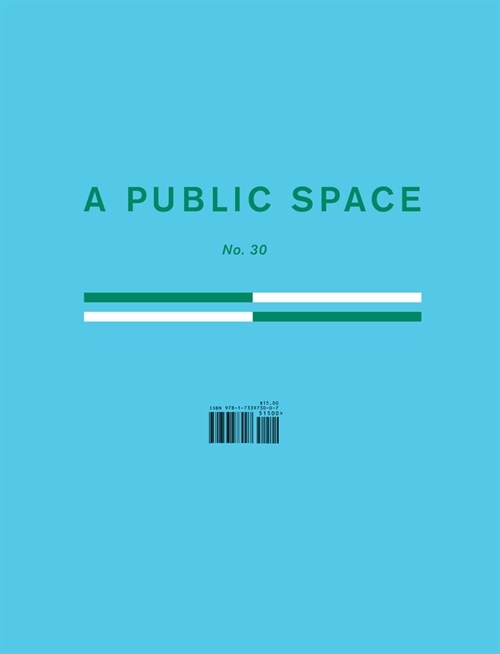 A Public Space No. 30 (Paperback)