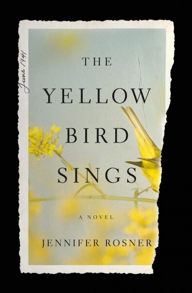 The Yellow Bird Sings (Hardcover)