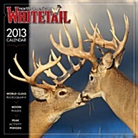 2013 North American Whitetail Calendar (Wall)