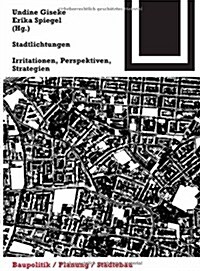 Stadtlichtungen: Irritationen, Perspektiven, Strategien (Paperback)