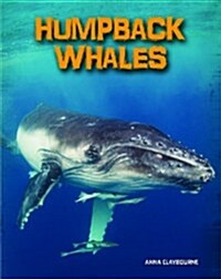 Humpback Whales (Hardcover)