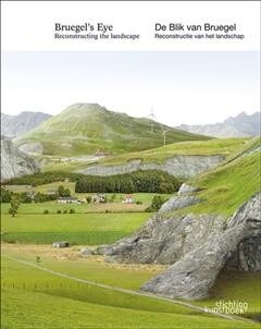 Bruegels Eye: Reconstructing the Landscape (Paperback)