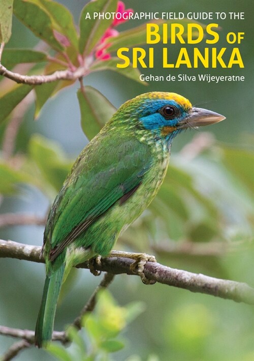 The Birds of Sri Lanka : A Photographic Field Guide (2nd edition) (Paperback, 2 Revised edition)