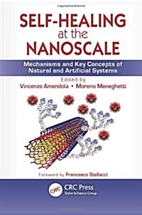 Self-Healing at the Nanoscale: Mechanisms and Key Concepts of Natural and Artificial Systems (Hardcover)