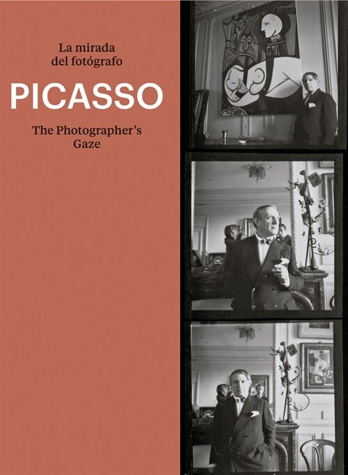 Picasso: The Photographers Gaze (Paperback)
