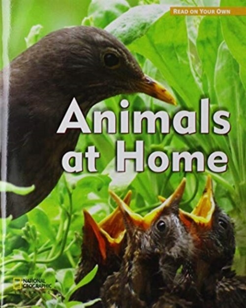 ROYO READERS LEVEL B ANIMALS A T HOME (Paperback, New ed)