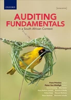 Auditing Fundamentals in a South African Context (Paperback, 2)