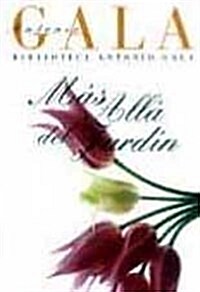 MAS ALLA DEL JARDIN (Paperback)