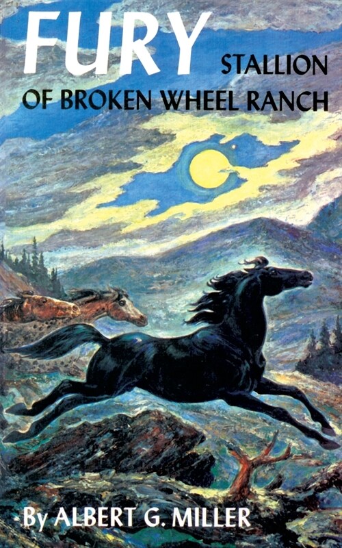 Fury: Stallion of Broken Wheel Ranch (Paperback)