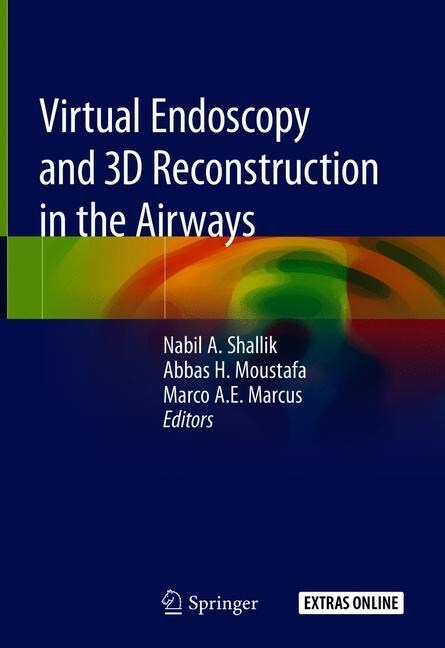 Virtual Endoscopy and 3D Reconstruction in the Airways (Hardcover, 2019)