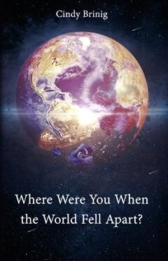 Where Were You When the World Fell Apart? (Paperback)