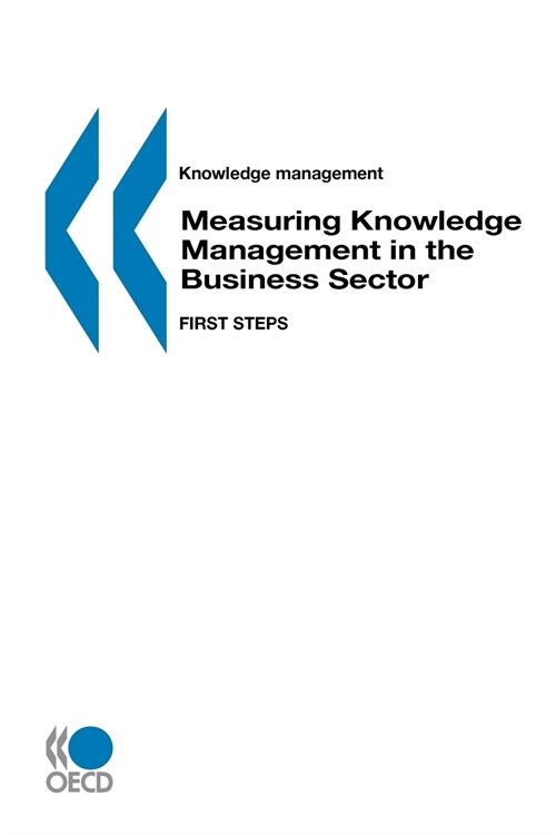 Knowledge Management Measuring Knowledge Management in the Business Sector: First Steps (Paperback)