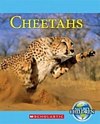 Cheetahs (Natures Children) (Library Binding, Library)