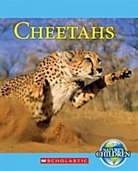 Cheetahs (Paperback)