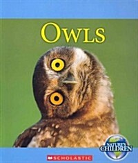 Owls (Paperback)