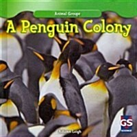 A Penguin Colony (Library Binding)