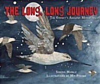 The Long, Long Journey: The Godwits Amazing Migration (Library Binding)