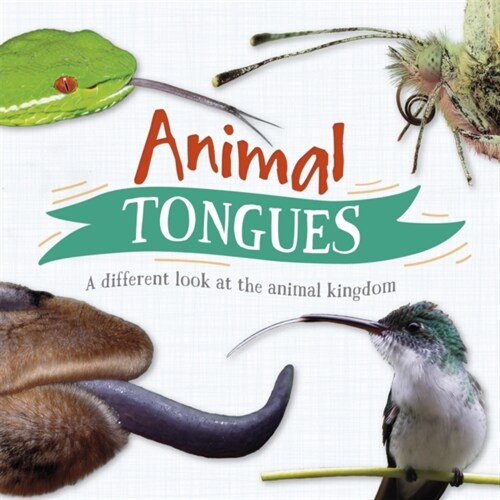 Animal Tongues : A different look at the animal kingdom (Hardcover, Illustrated ed)