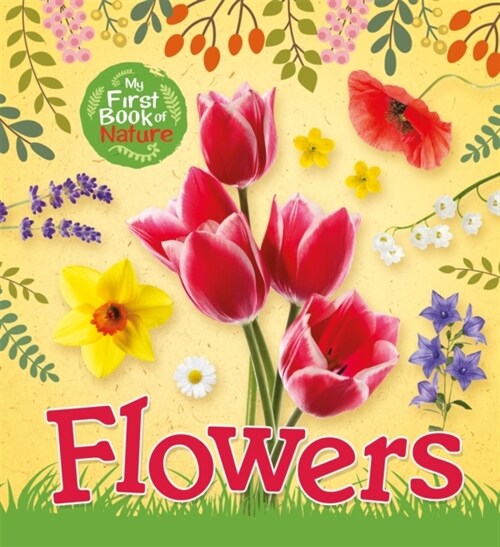 My First Book of Nature: Flowers (Paperback)