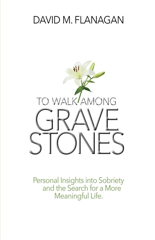To Walk Among Gravestones: Personal Insights into Sobriety and the Search for a More Meaningful Life (Paperback)