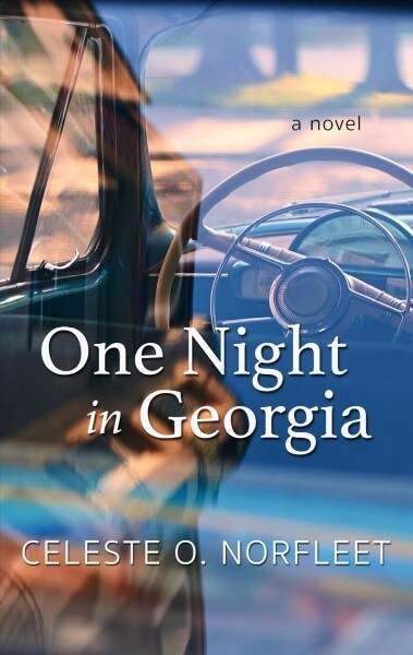 One Night in Georgia (Library Binding)