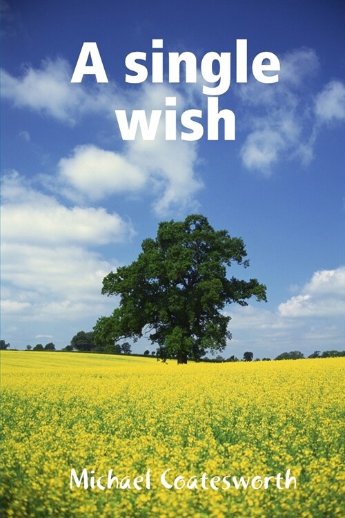 A Single Wish (Paperback)