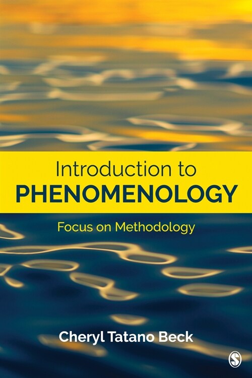 Introduction to Phenomenology: Focus on Methodology (Paperback)