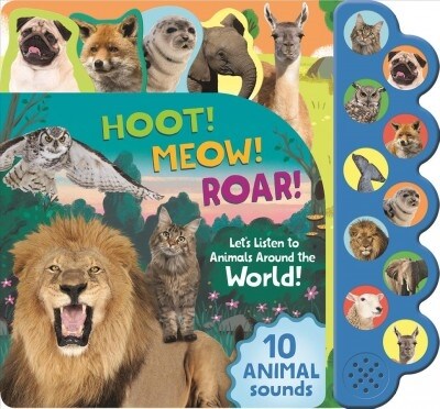 Hoot! Meow! Roar!: Lets Listen to Animals Around the World! (Board Books)