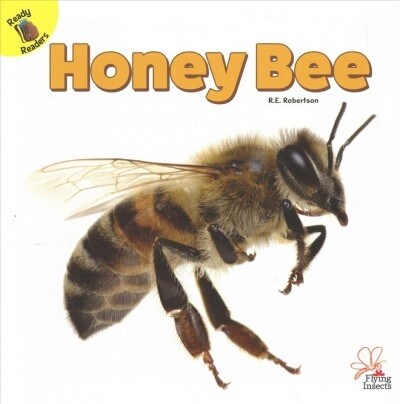 Honey Bee (Paperback)