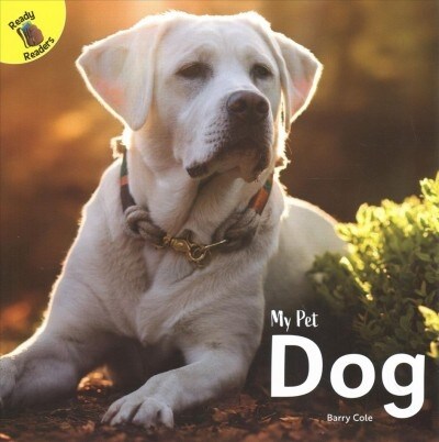 Dog (Paperback)