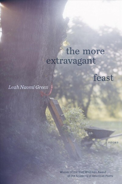 The More Extravagant Feast: Poems (Paperback)