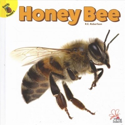 Honey Bee (Hardcover)