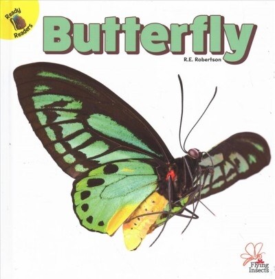 Butterfly (Hardcover)