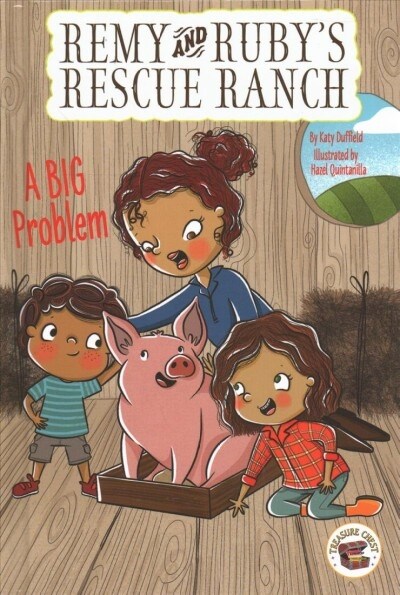 A Big Problem (Hardcover)