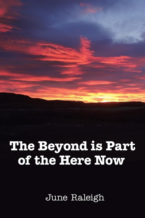 The Beyond Is Part of the Here Now (Paperback)