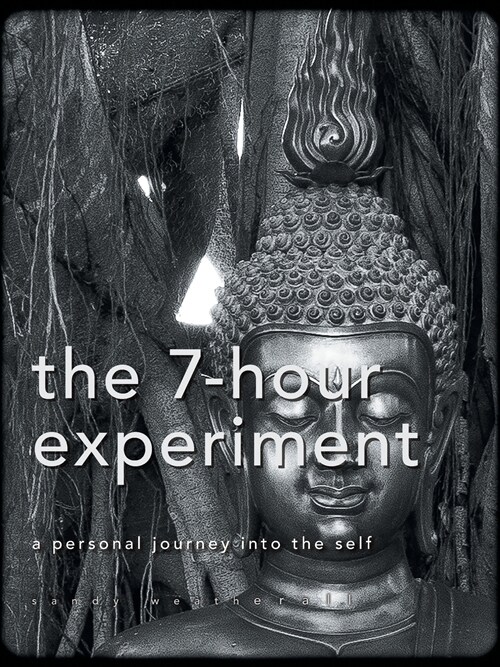 The 7-Hour Experiment (Paperback)